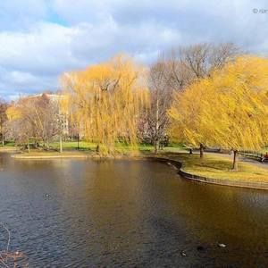 Meet your Posher, Long